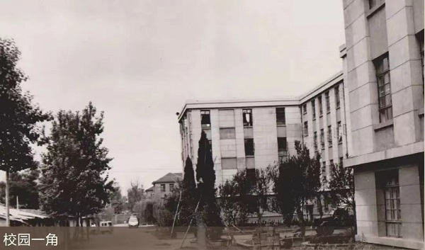 1652752452563091074.jpg